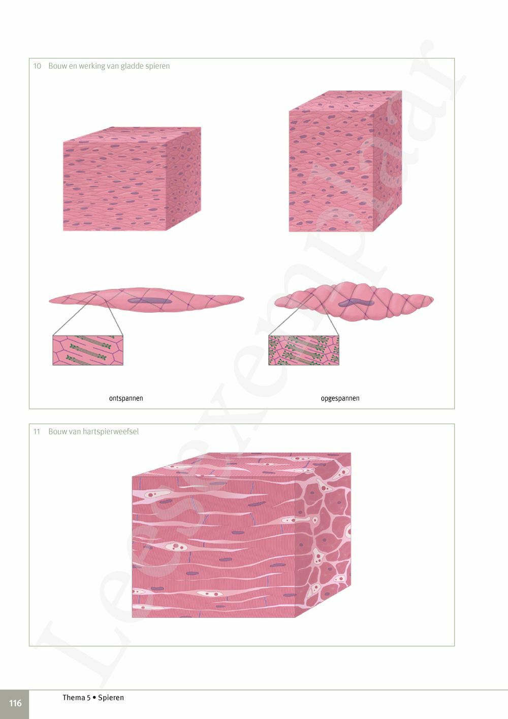 Preview: Focus Biologie 3.2 Leerwerkboek (incl. Pelckmans Portaal)