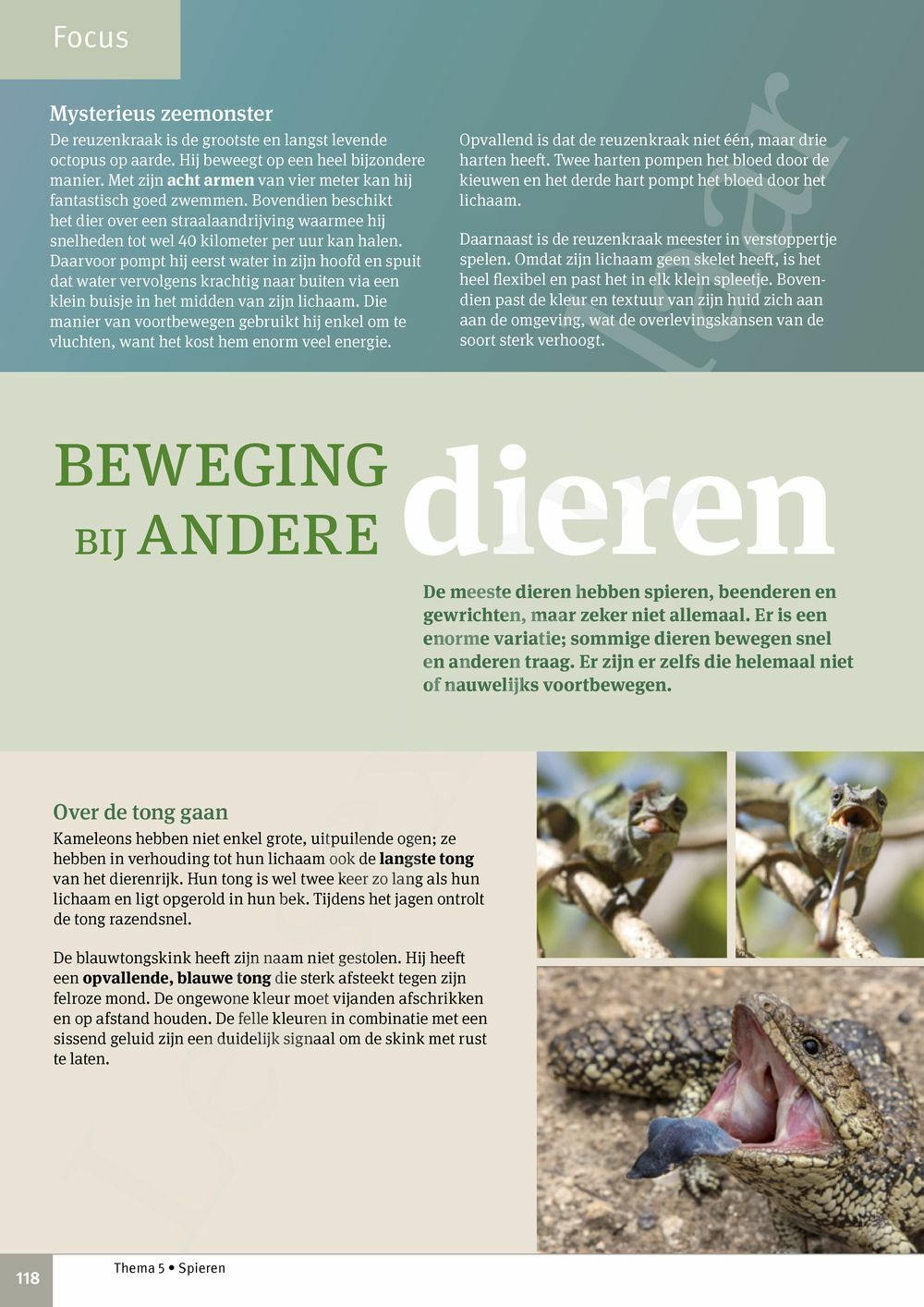 Preview: Focus Biologie 3.2 Leerwerkboek (incl. Pelckmans Portaal)