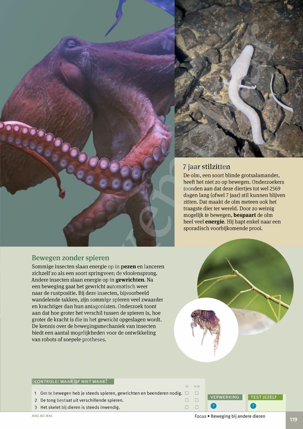 Preview: Focus Biologie 3.2 Leerwerkboek (incl. Pelckmans Portaal)