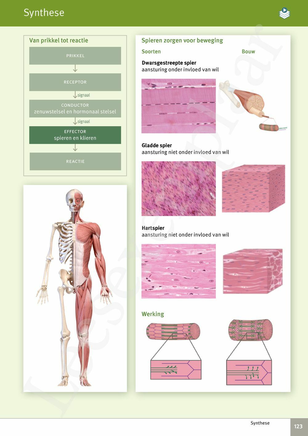 Preview: Focus Biologie 3.2 Leerwerkboek (incl. Pelckmans Portaal)