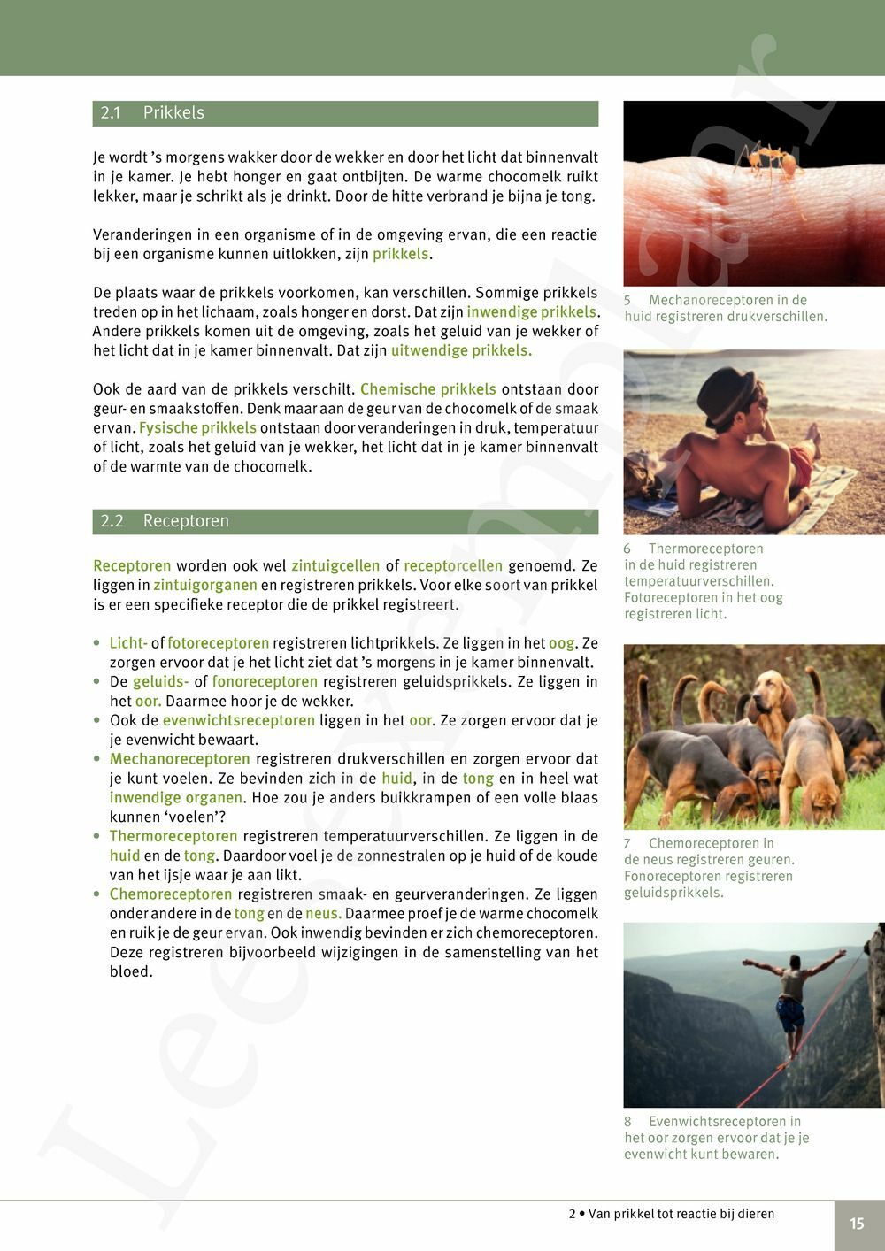Preview: Focus Biologie 3.2 Leerwerkboek (incl. Pelckmans Portaal)