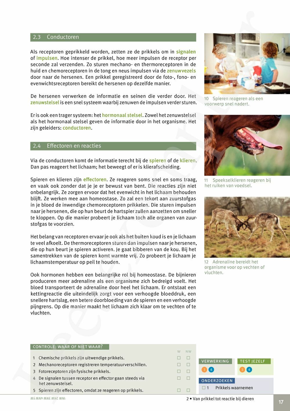 Preview: Focus Biologie 3.2 Leerwerkboek (incl. Pelckmans Portaal)