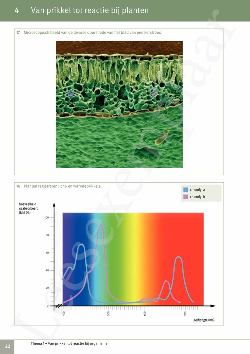 Preview: Focus Biologie 3.2 Leerwerkboek (incl. Pelckmans Portaal)