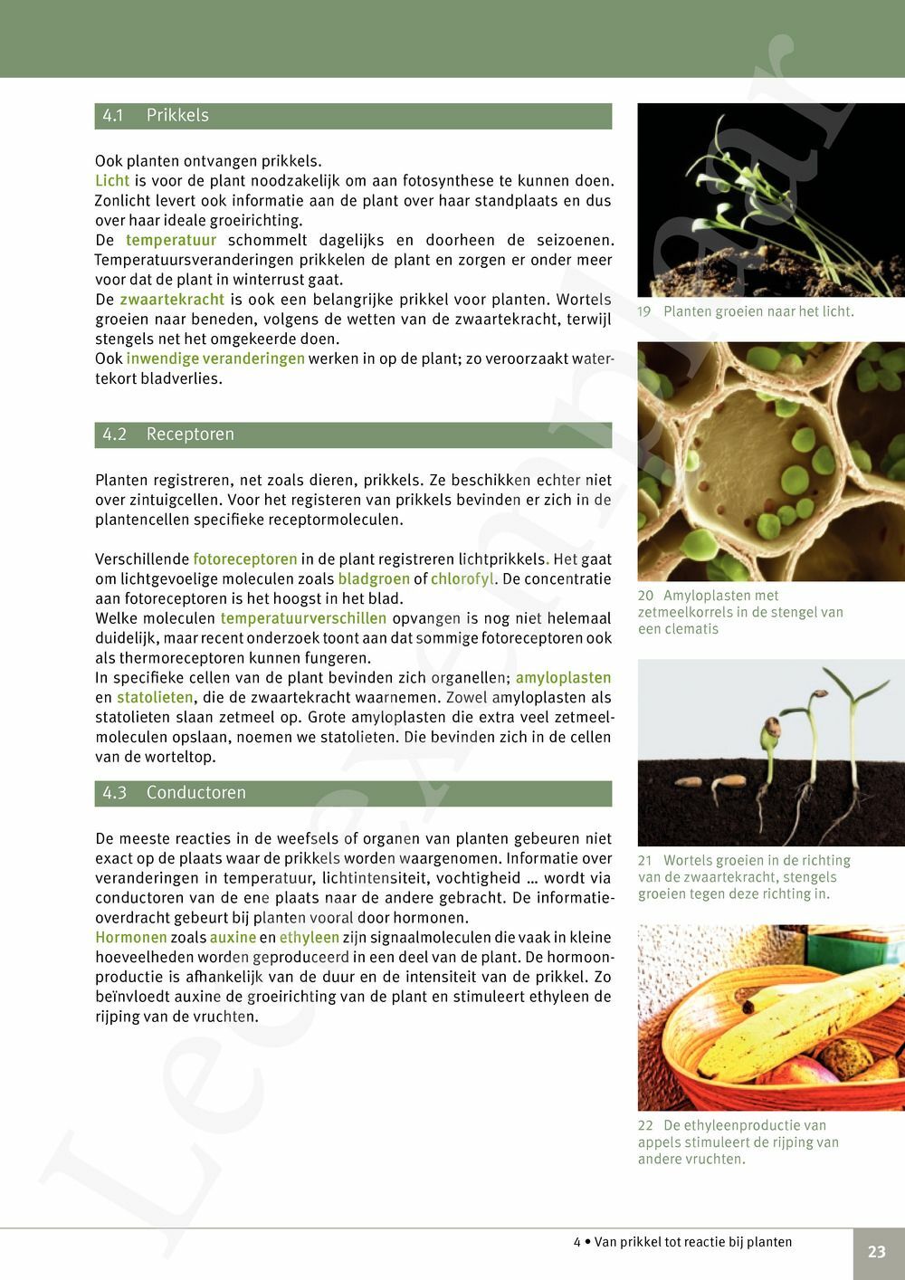 Preview: Focus Biologie 3.2 Leerwerkboek (incl. Pelckmans Portaal)