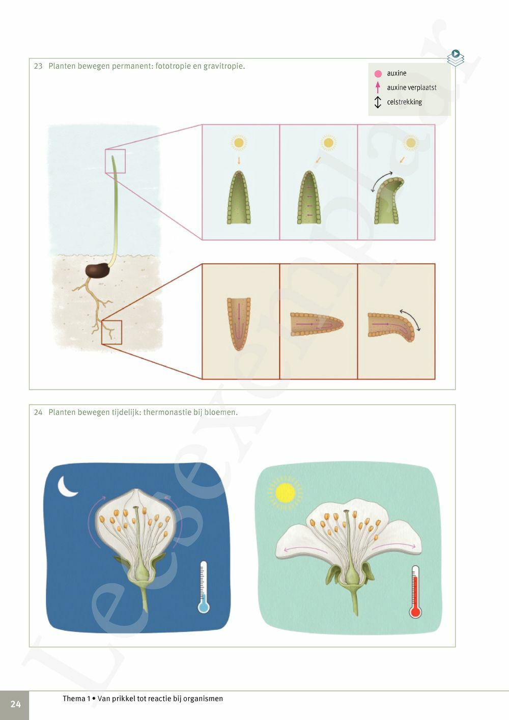 Preview: Focus Biologie 3.2 Leerwerkboek (incl. Pelckmans Portaal)