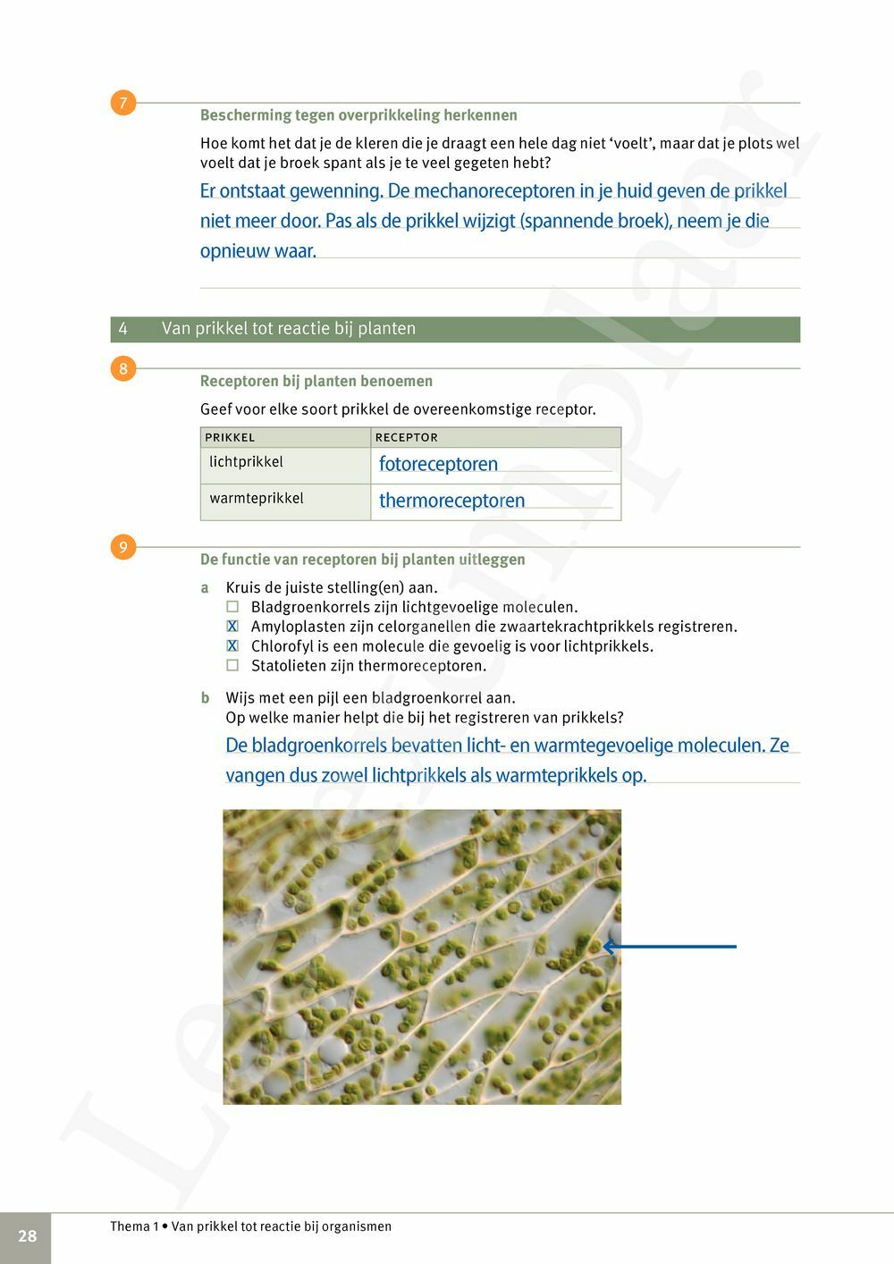 Preview: Focus Biologie 3.2 Leerwerkboek (incl. Pelckmans Portaal)