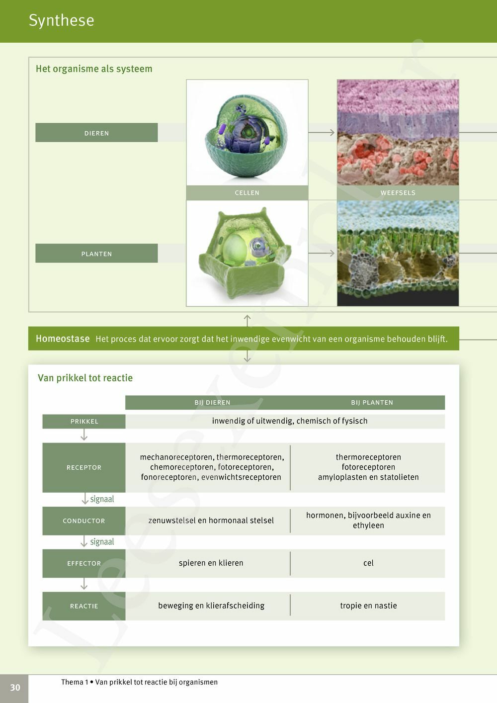 Preview: Focus Biologie 3.2 Leerwerkboek (incl. Pelckmans Portaal)