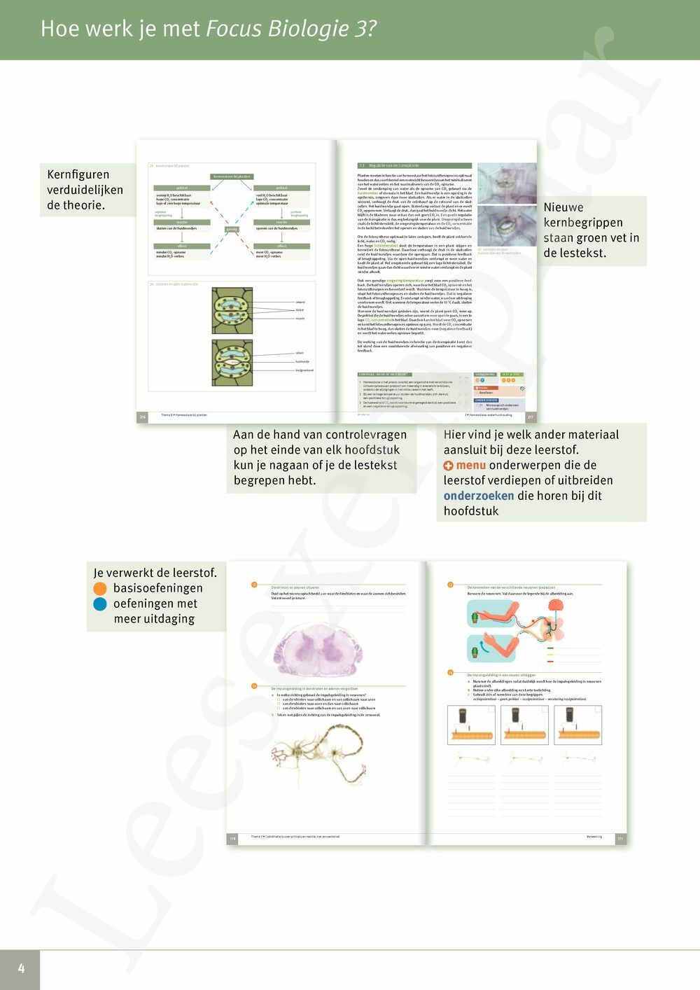Preview: Focus Biologie 3.2 Leerwerkboek (incl. Pelckmans Portaal)
