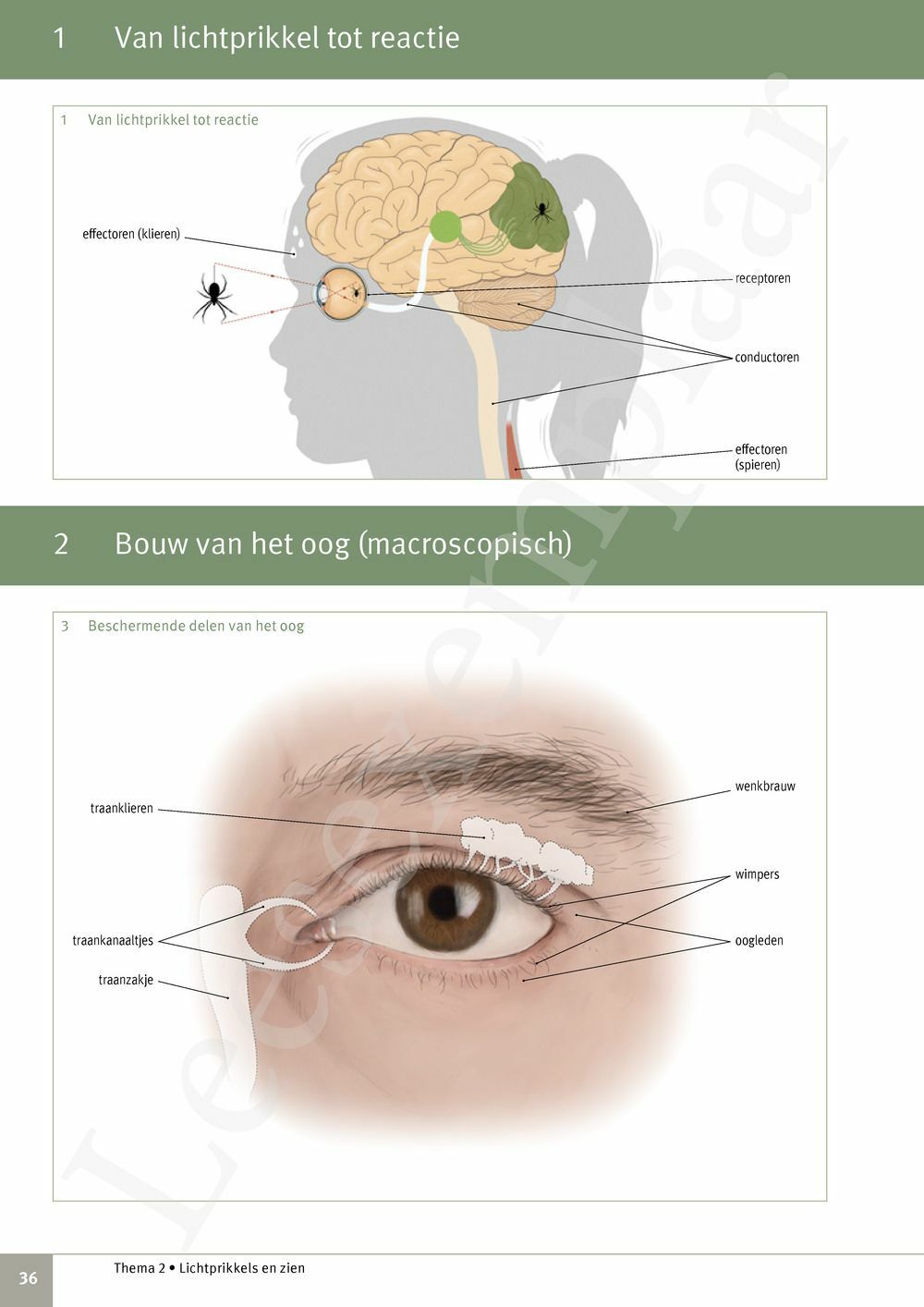 Preview: Focus Biologie 3.2 Leerwerkboek (incl. Pelckmans Portaal)