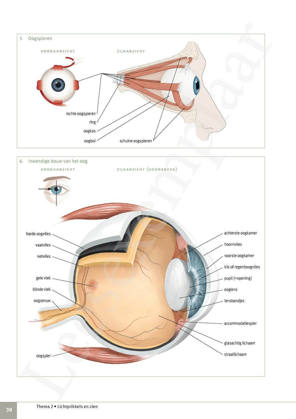 Preview: Focus Biologie 3.2 Leerwerkboek (incl. Pelckmans Portaal)
