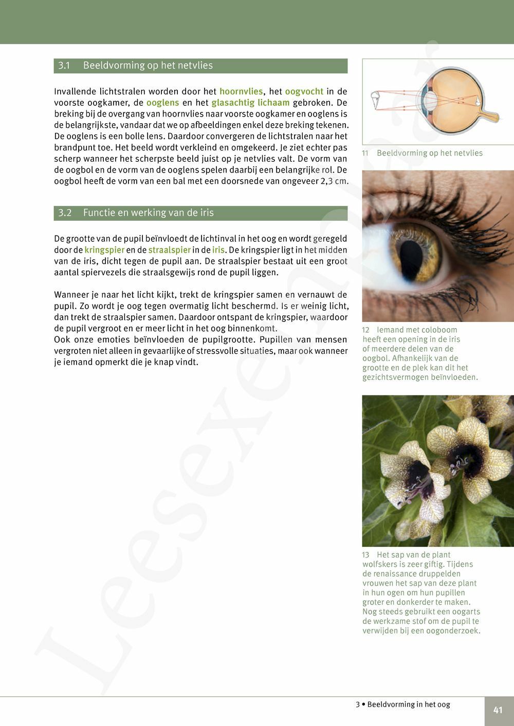 Preview: Focus Biologie 3.2 Leerwerkboek (incl. Pelckmans Portaal)