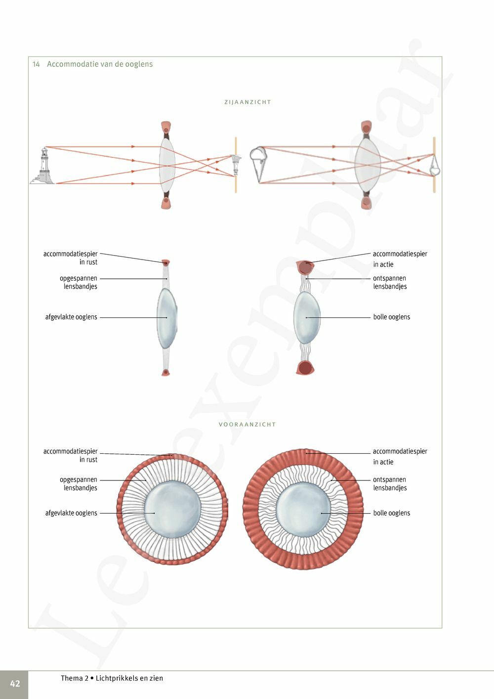 Preview: Focus Biologie 3.2 Leerwerkboek (incl. Pelckmans Portaal)