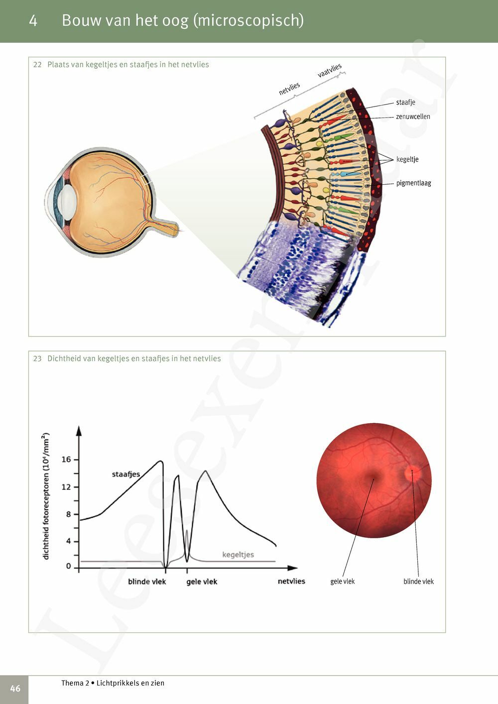 Preview: Focus Biologie 3.2 Leerwerkboek (incl. Pelckmans Portaal)