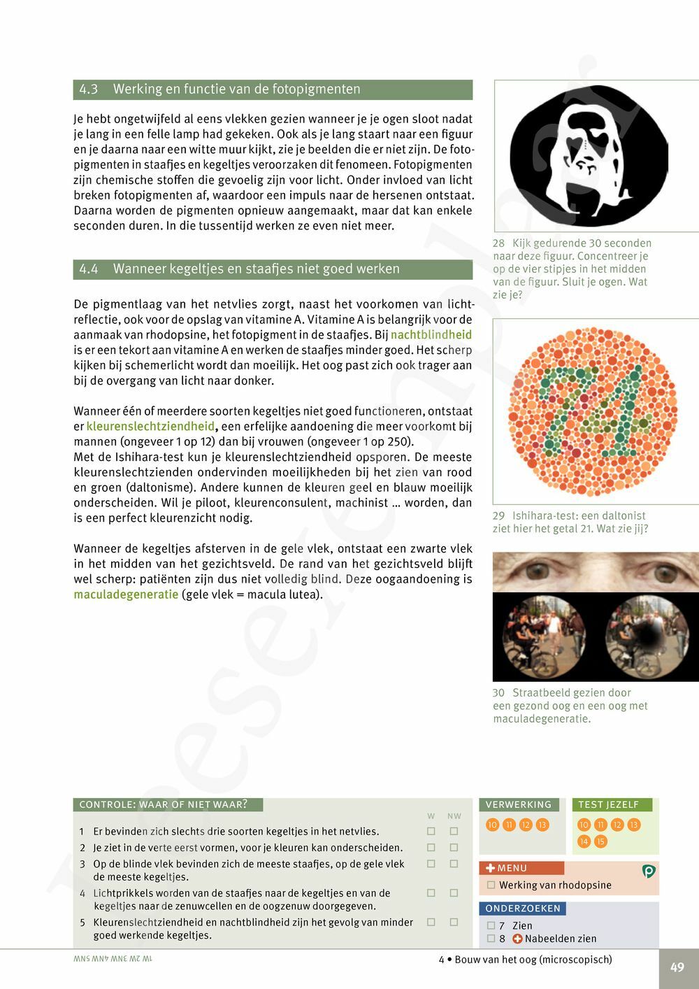 Preview: Focus Biologie 3.2 Leerwerkboek (incl. Pelckmans Portaal)