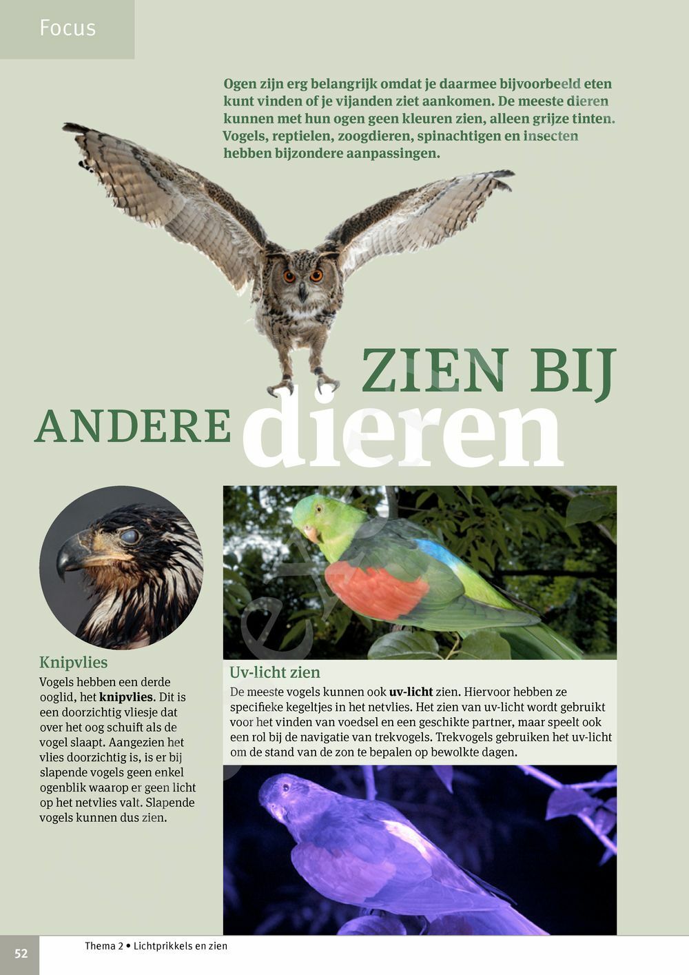 Preview: Focus Biologie 3.2 Leerwerkboek (incl. Pelckmans Portaal)
