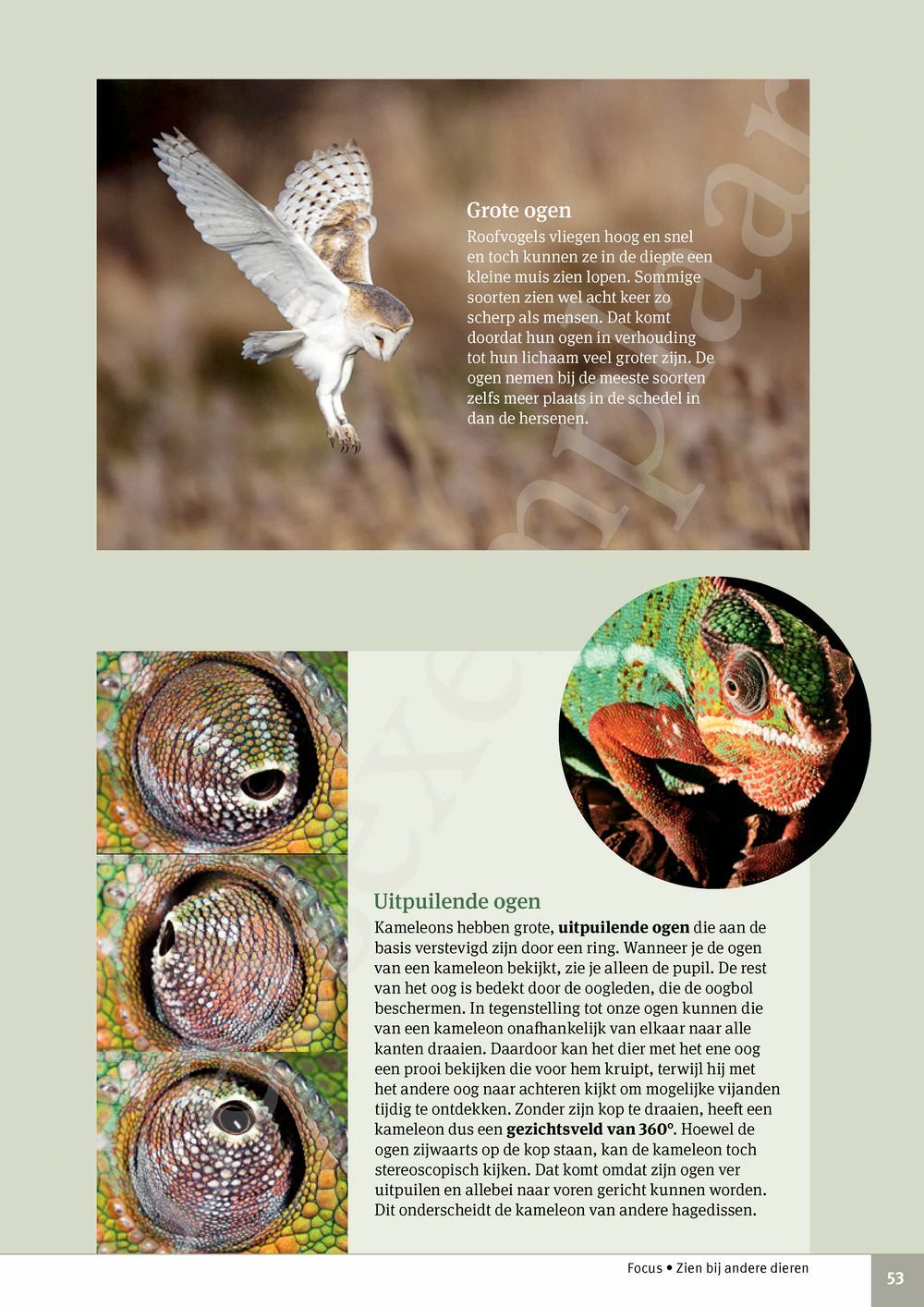 Preview: Focus Biologie 3.2 Leerwerkboek (incl. Pelckmans Portaal)