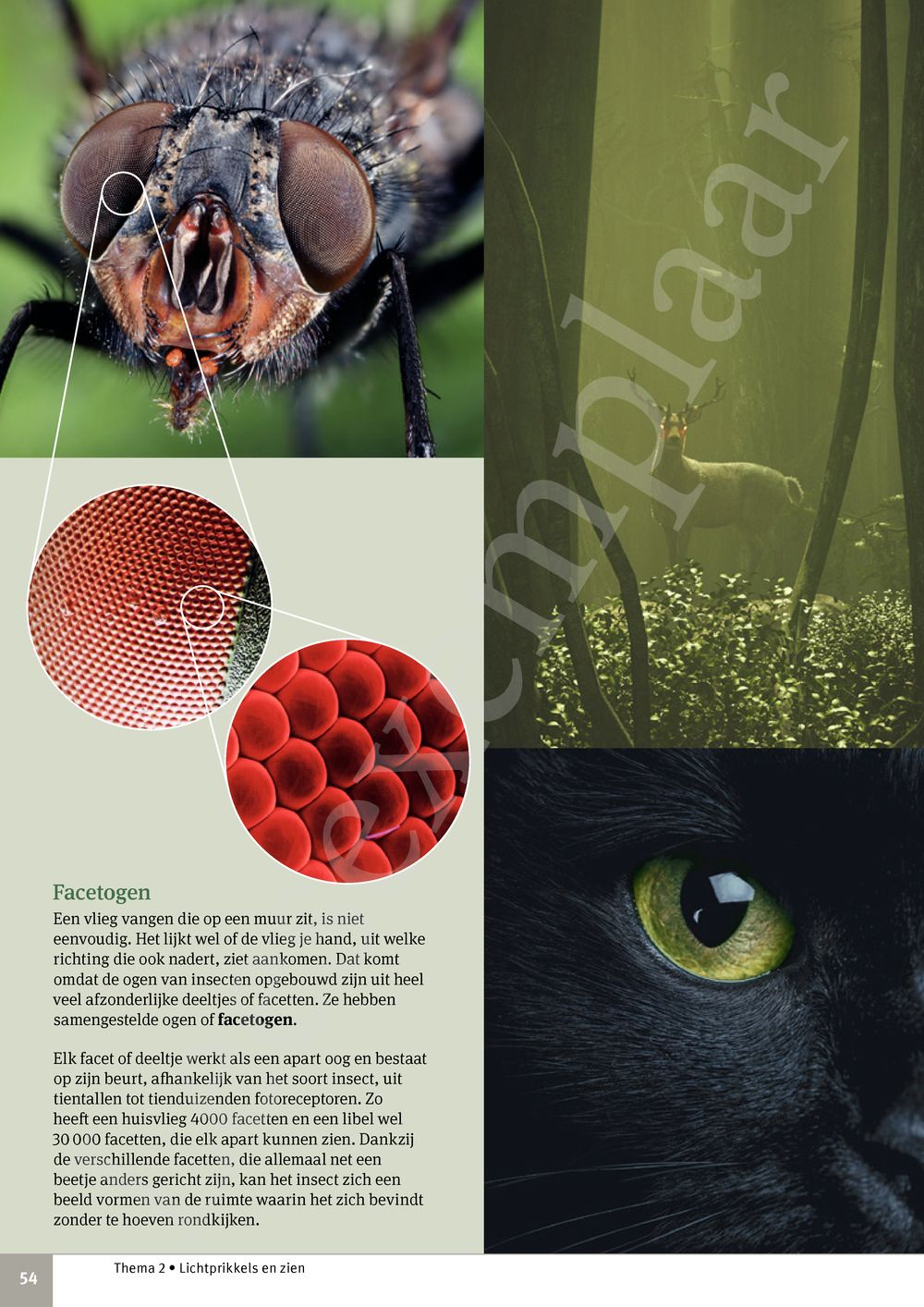 Preview: Focus Biologie 3.2 Leerwerkboek (incl. Pelckmans Portaal)