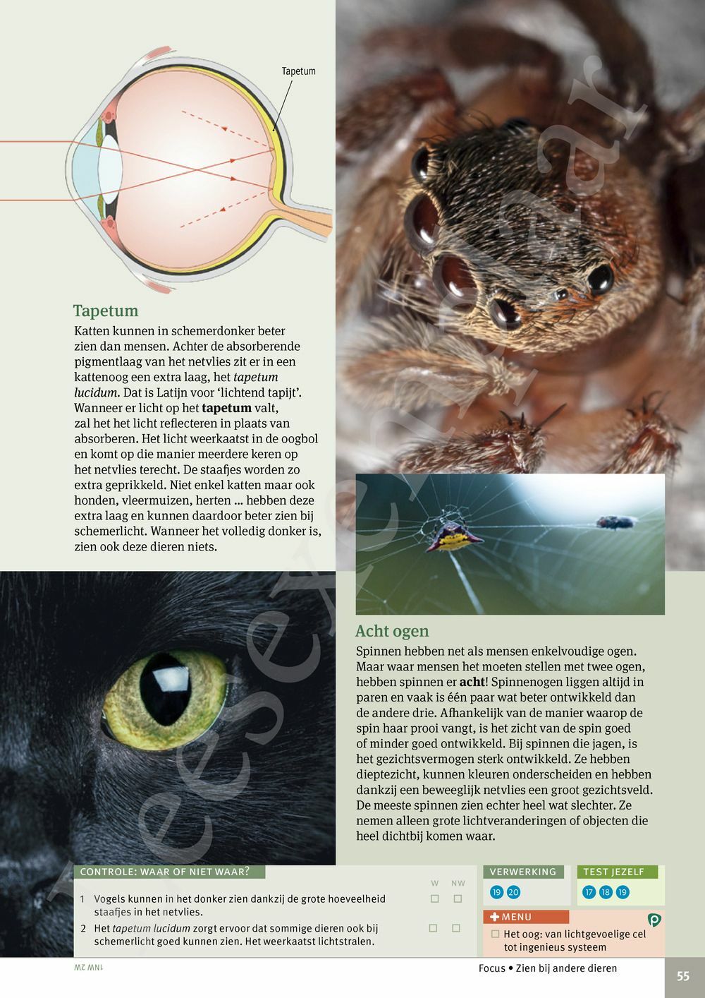 Preview: Focus Biologie 3.2 Leerwerkboek (incl. Pelckmans Portaal)