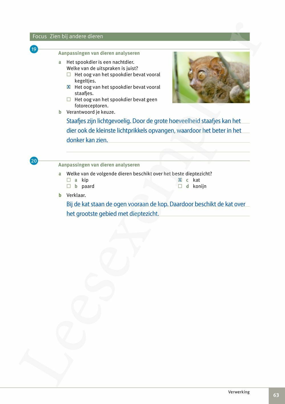 Preview: Focus Biologie 3.2 Leerwerkboek (incl. Pelckmans Portaal)