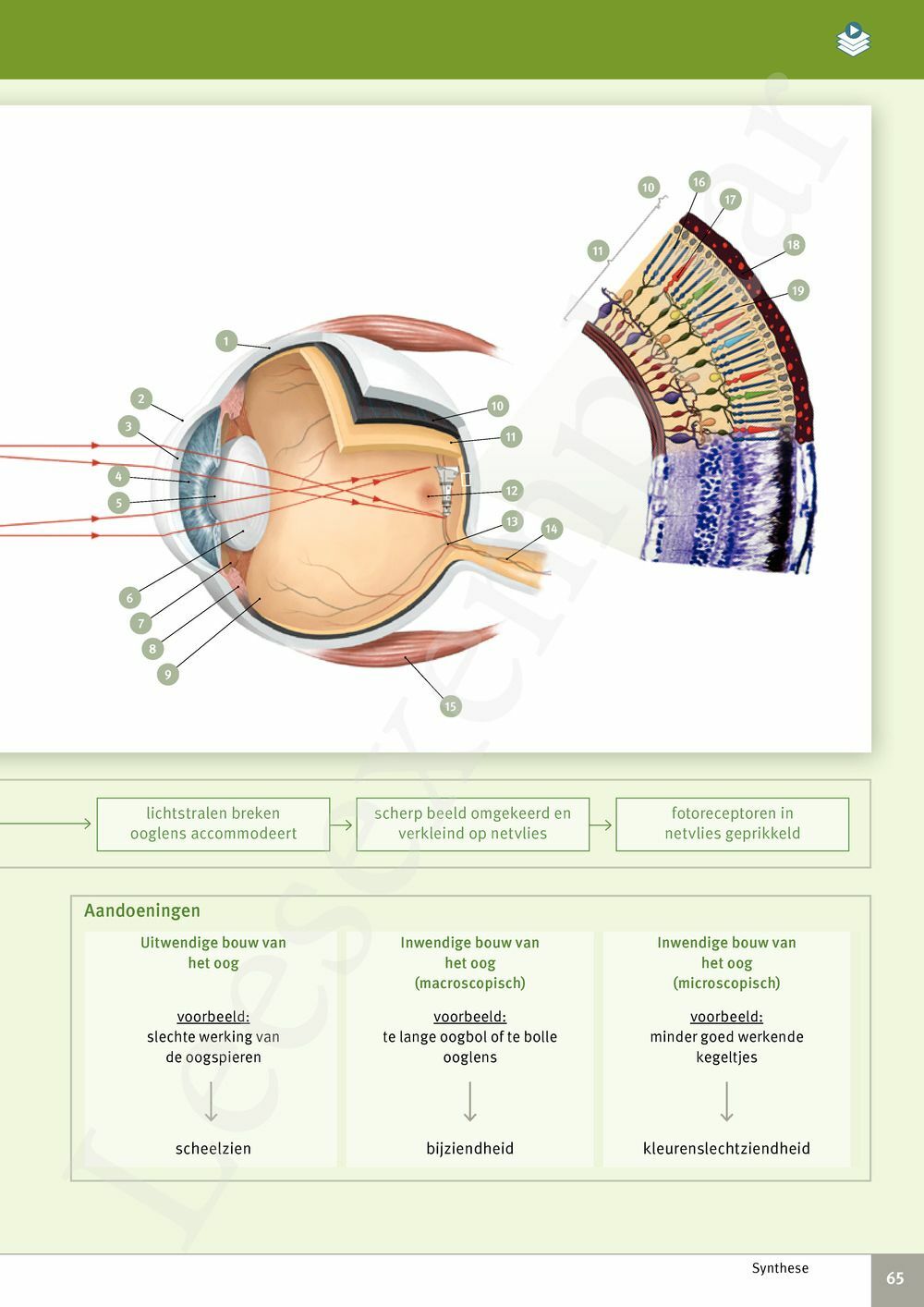 Preview: Focus Biologie 3.2 Leerwerkboek (incl. Pelckmans Portaal)