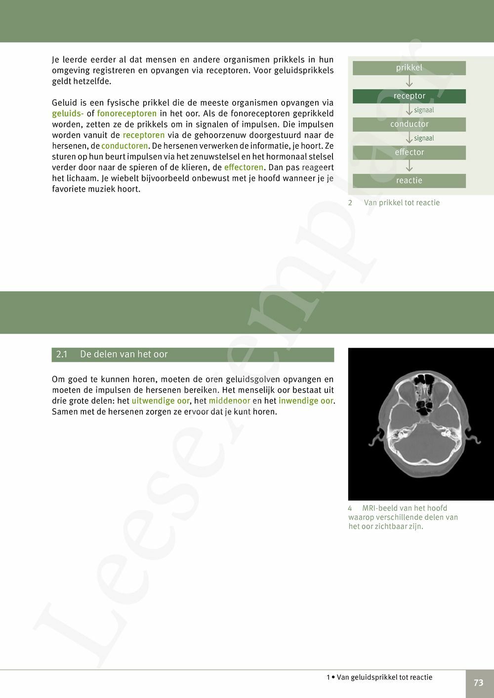 Preview: Focus Biologie 3.2 Leerwerkboek (incl. Pelckmans Portaal)