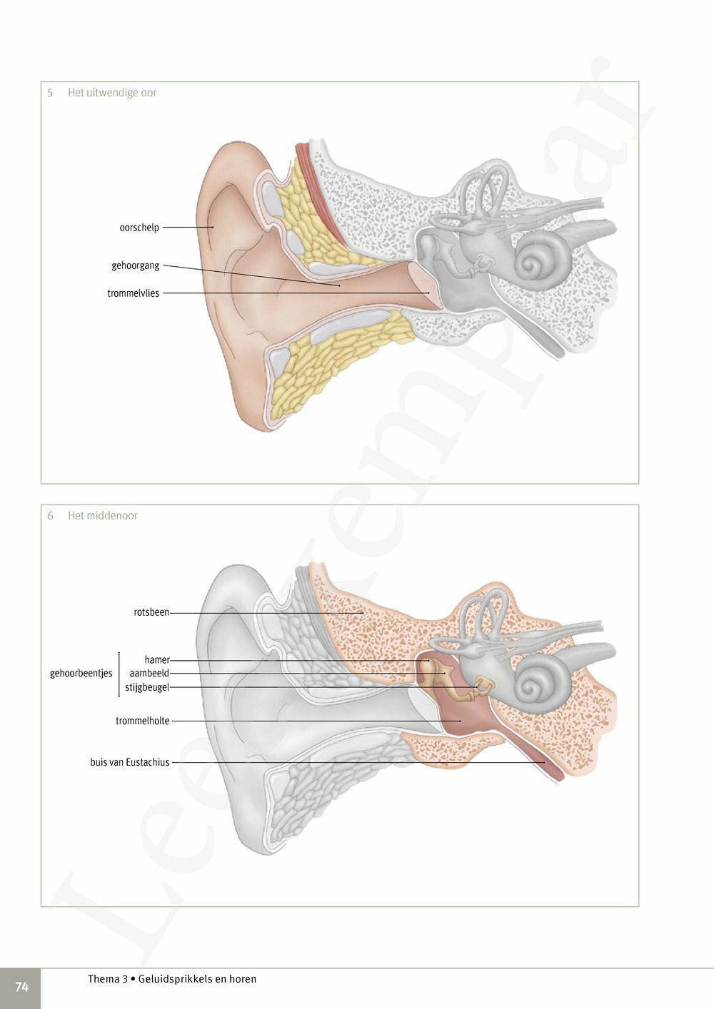 Preview: Focus Biologie 3.2 Leerwerkboek (incl. Pelckmans Portaal)