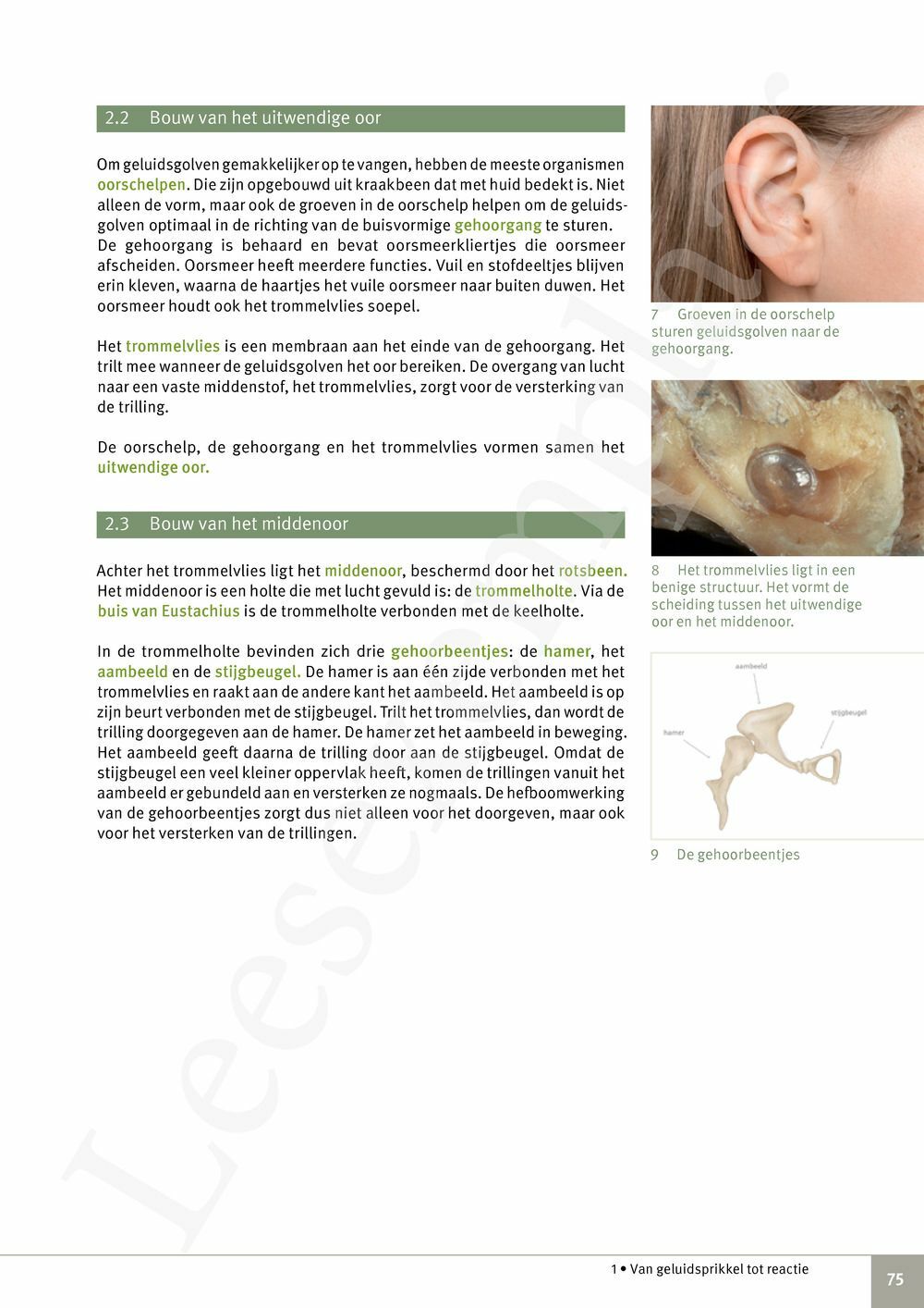 Preview: Focus Biologie 3.2 Leerwerkboek (incl. Pelckmans Portaal)