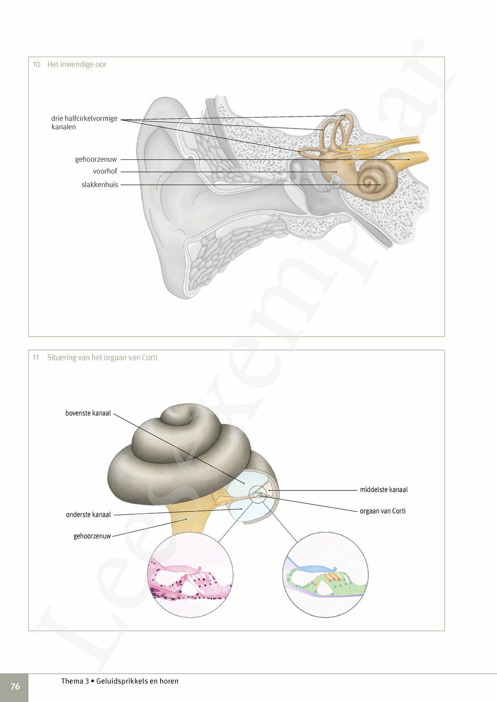 Preview: Focus Biologie 3.2 Leerwerkboek (incl. Pelckmans Portaal)