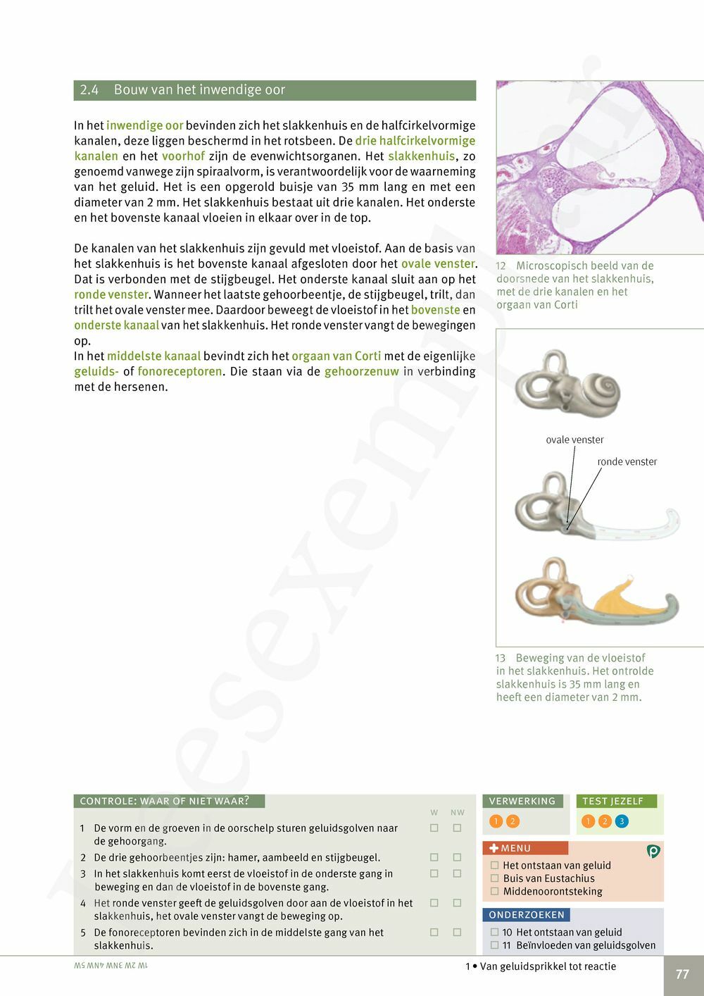 Preview: Focus Biologie 3.2 Leerwerkboek (incl. Pelckmans Portaal)