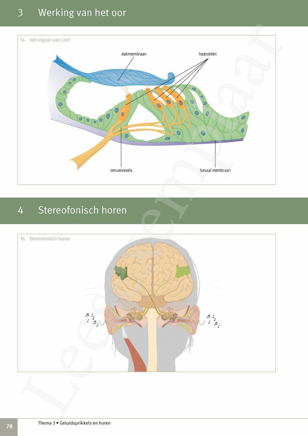 Preview: Focus Biologie 3.2 Leerwerkboek (incl. Pelckmans Portaal)