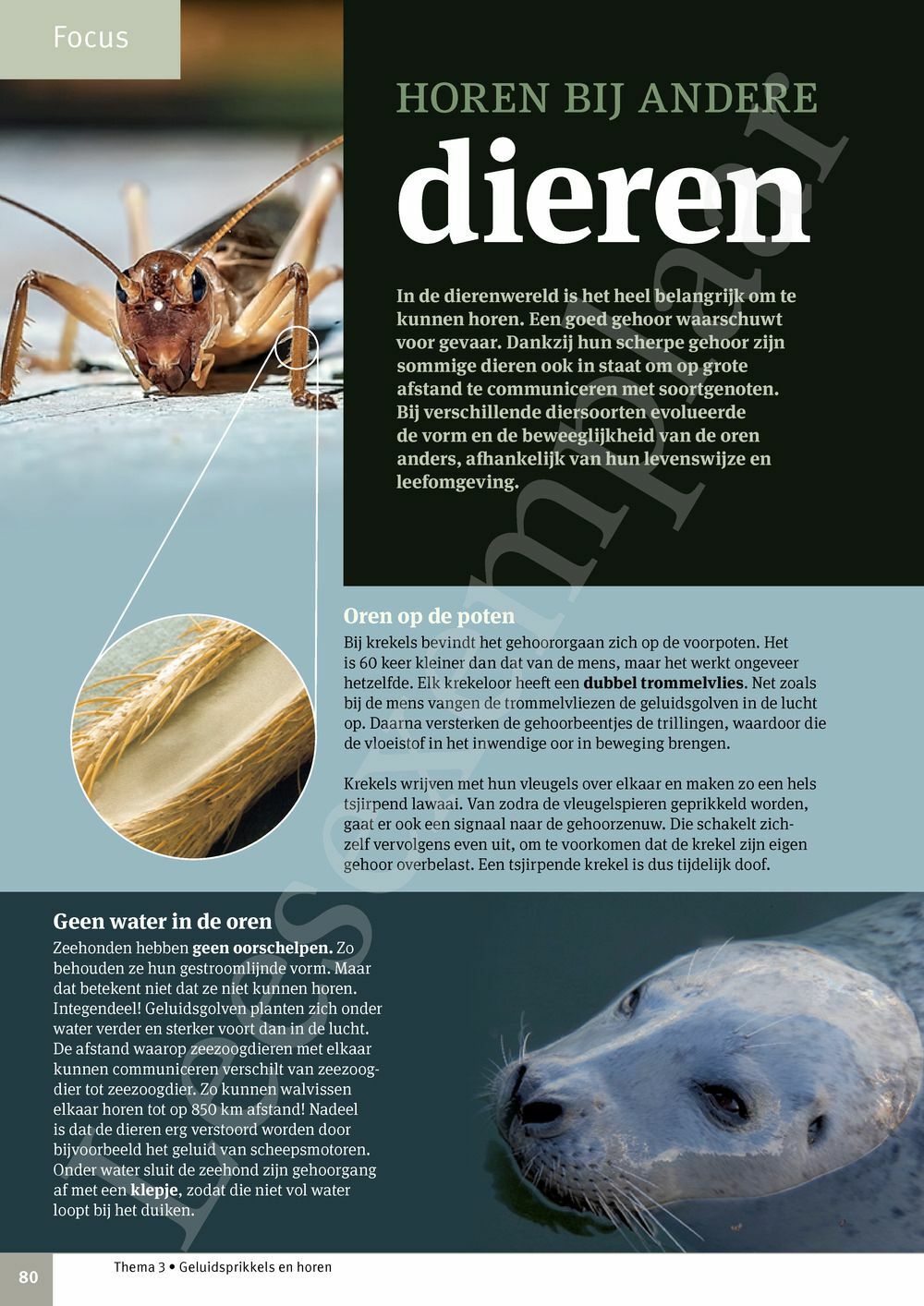 Preview: Focus Biologie 3.2 Leerwerkboek (incl. Pelckmans Portaal)