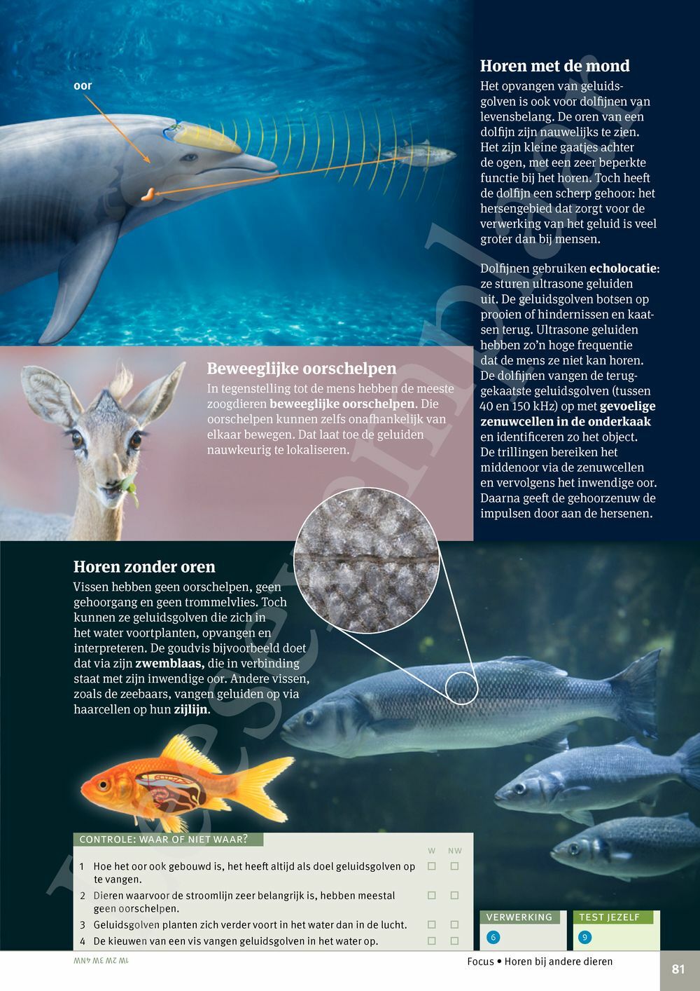 Preview: Focus Biologie 3.2 Leerwerkboek (incl. Pelckmans Portaal)