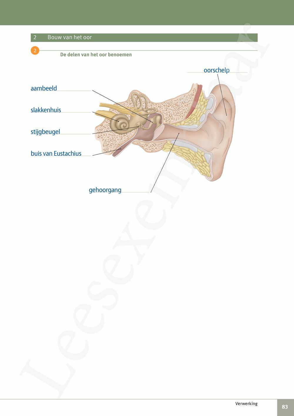 Preview: Focus Biologie 3.2 Leerwerkboek (incl. Pelckmans Portaal)