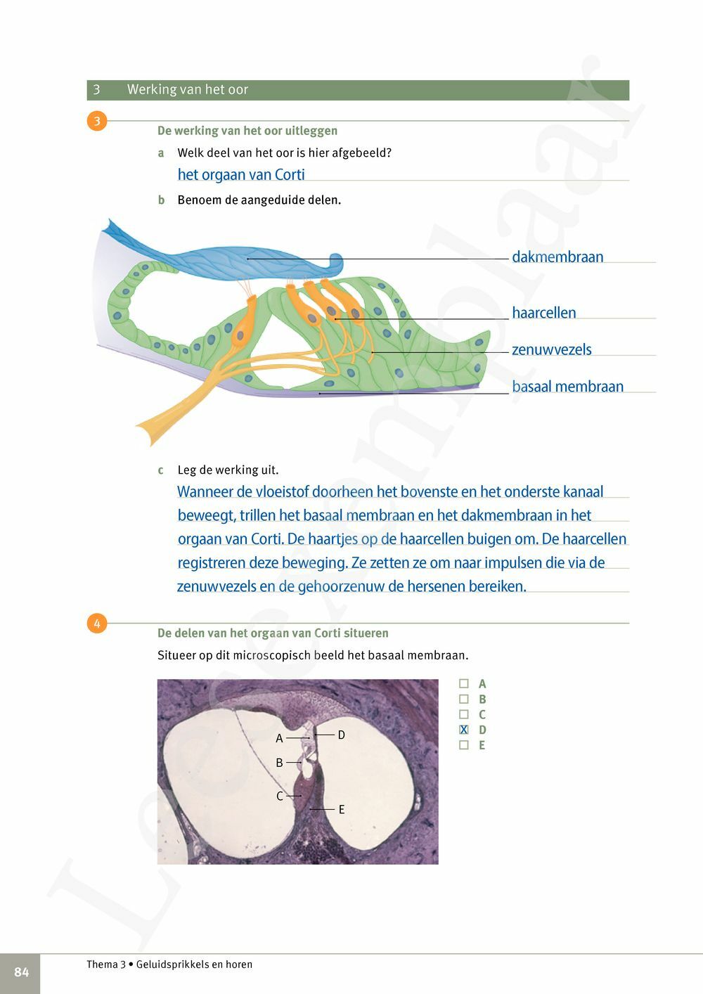 Preview: Focus Biologie 3.2 Leerwerkboek (incl. Pelckmans Portaal)