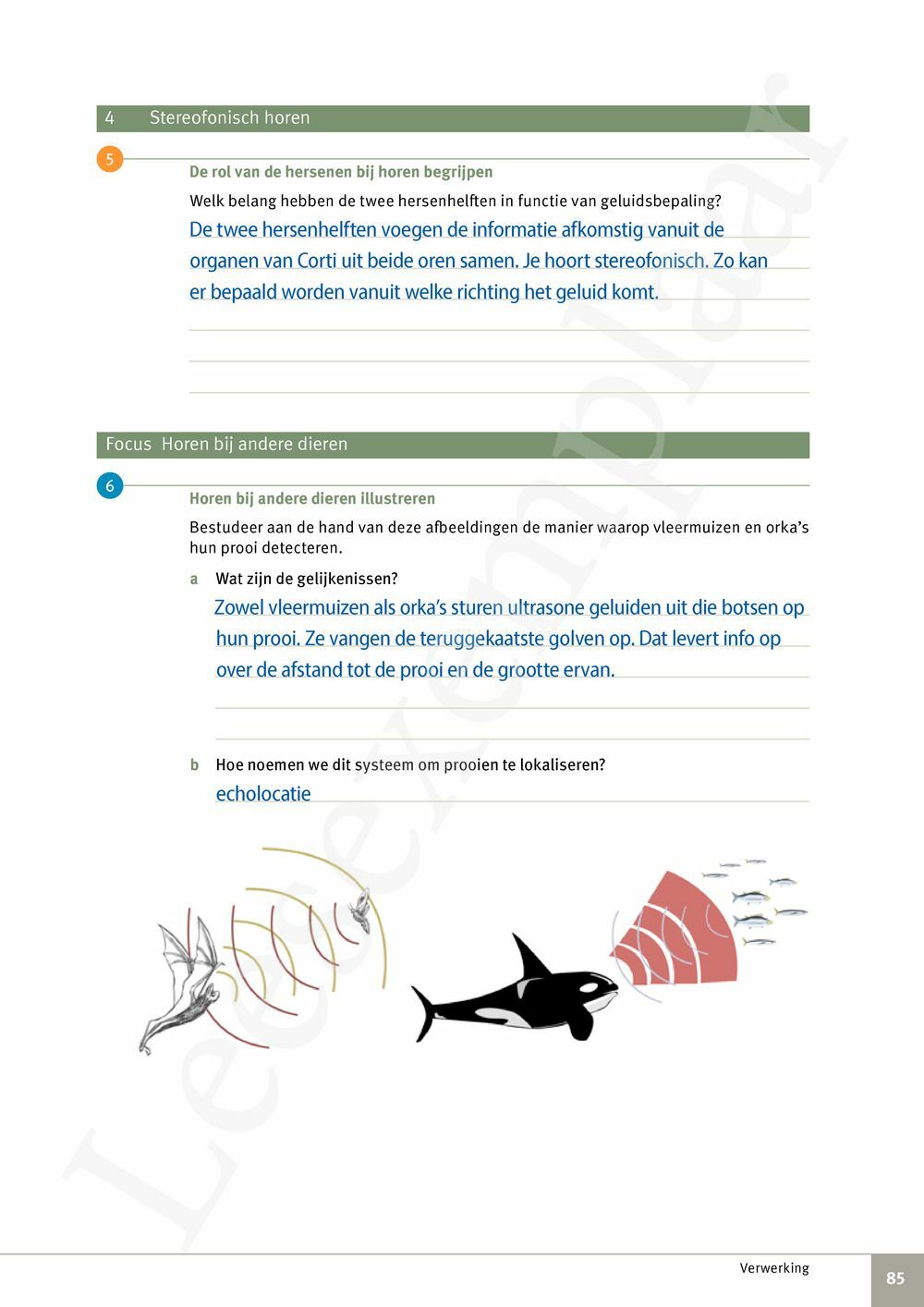 Preview: Focus Biologie 3.2 Leerwerkboek (incl. Pelckmans Portaal)