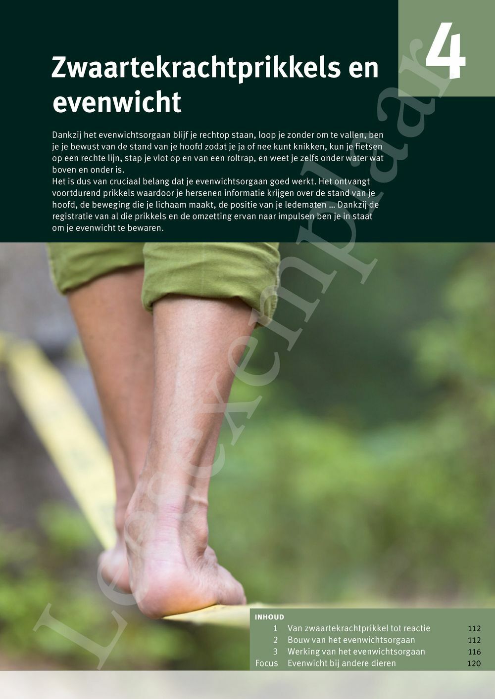 Preview: Focus Biologie 3.2 Leerwerkboek (incl. Pelckmans Portaal)