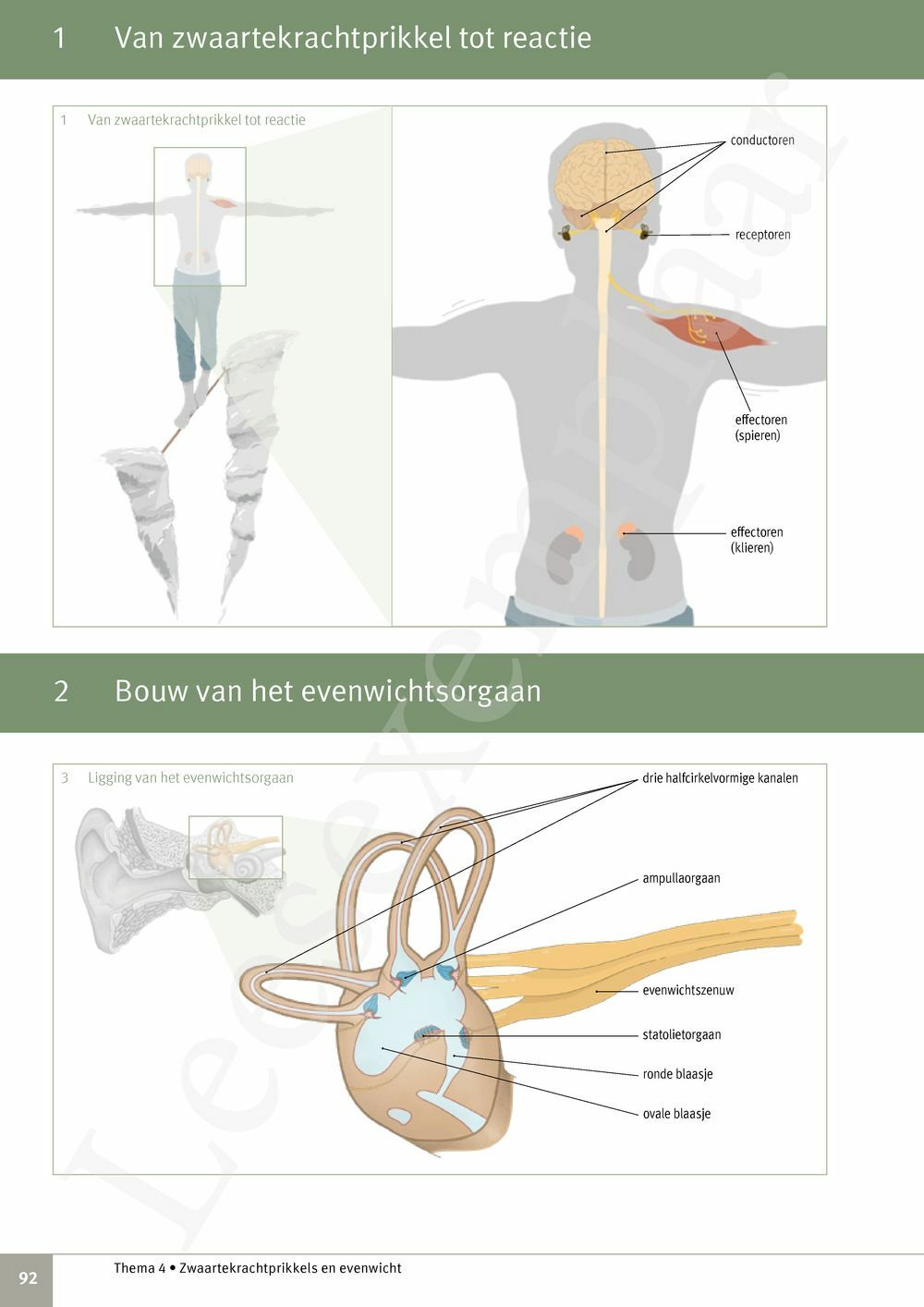 Preview: Focus Biologie 3.2 Leerwerkboek (incl. Pelckmans Portaal)