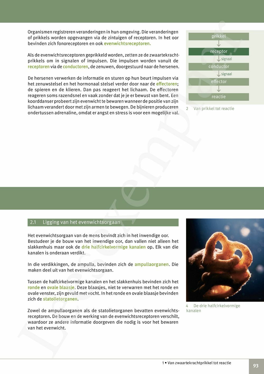 Preview: Focus Biologie 3.2 Leerwerkboek (incl. Pelckmans Portaal)