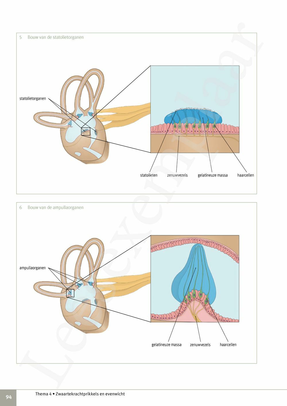 Preview: Focus Biologie 3.2 Leerwerkboek (incl. Pelckmans Portaal)
