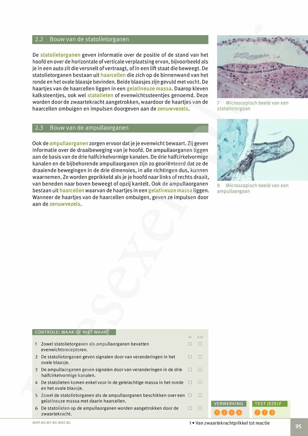 Preview: Focus Biologie 3.2 Leerwerkboek (incl. Pelckmans Portaal)