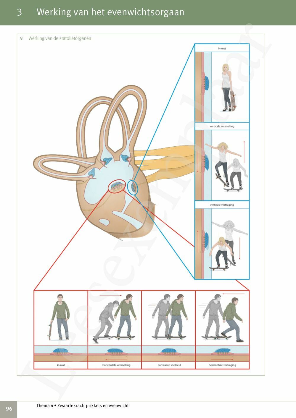 Preview: Focus Biologie 3.2 Leerwerkboek (incl. Pelckmans Portaal)