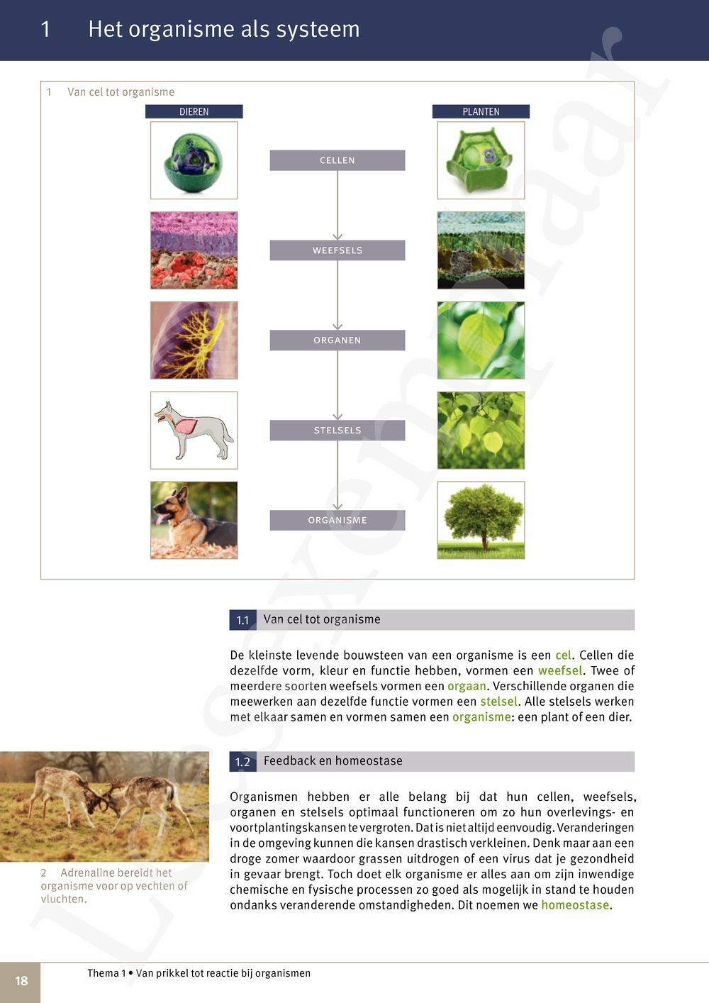 Preview: Focus Natuurwetenschappen 3 Leerwerkboek (incl. Pelckmans Portaal)