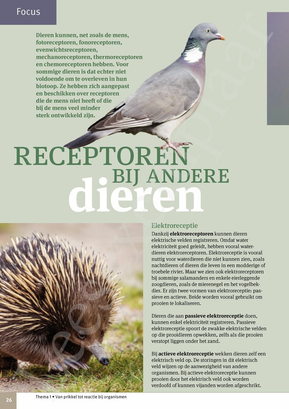 Preview: Focus Natuurwetenschappen 3 Leerwerkboek (incl. Pelckmans Portaal)