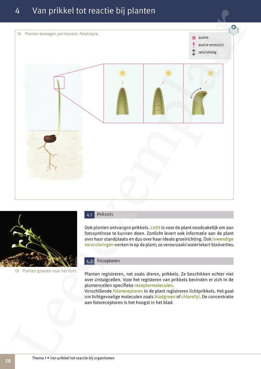 Preview: Focus Natuurwetenschappen 3 Leerwerkboek (incl. Pelckmans Portaal)