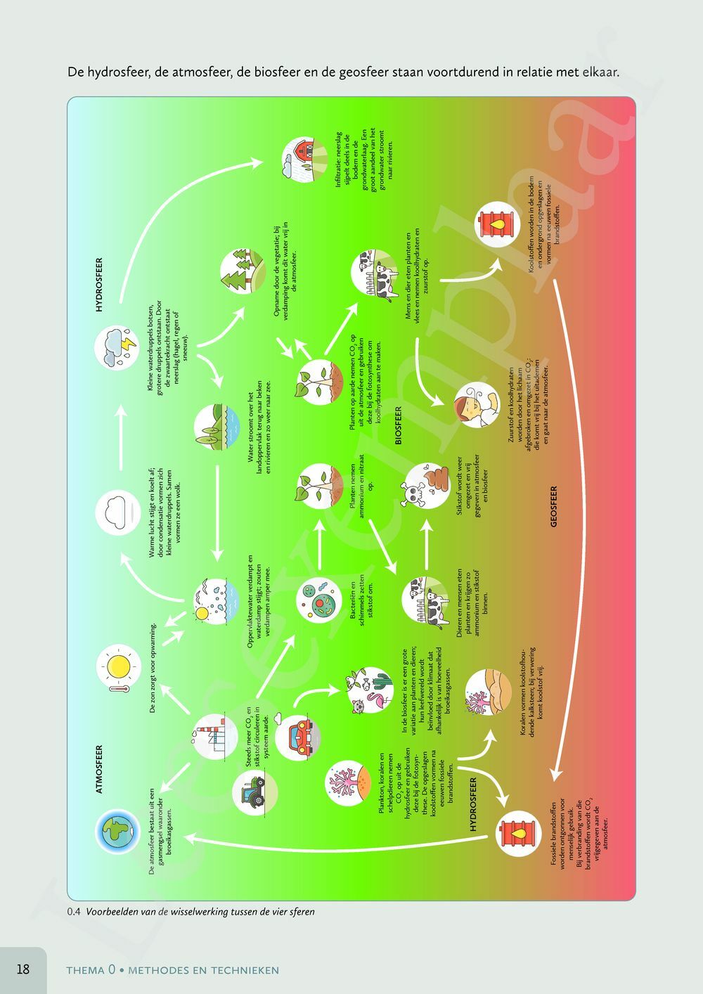 Preview: Zone 4 Leerwerkboek (incl. Pelckmans Portaal)
