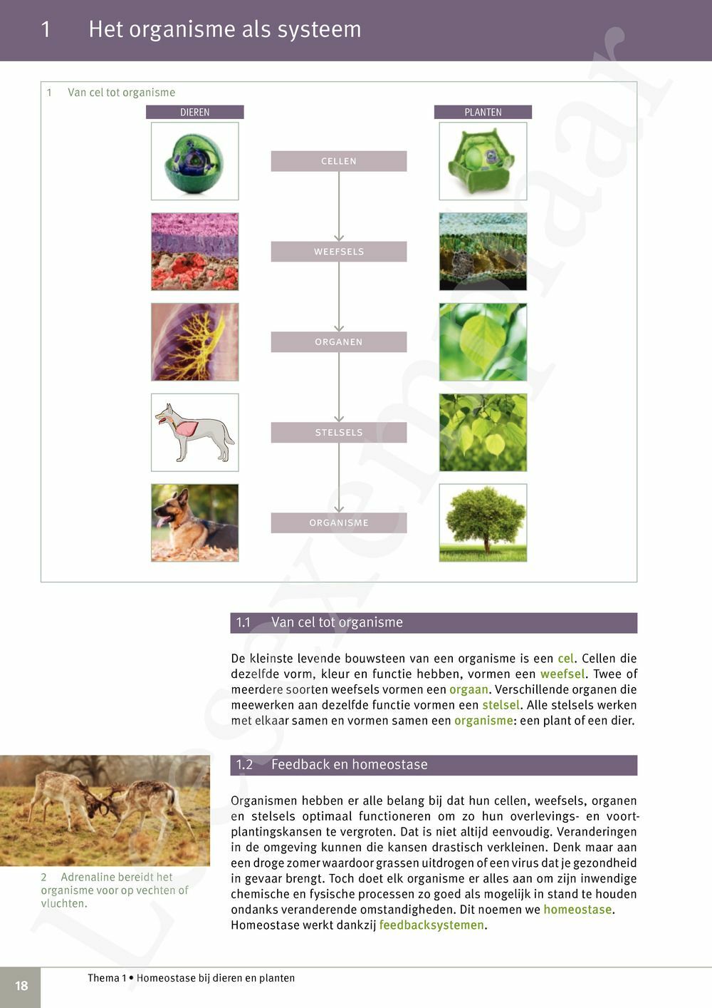 Preview: Focus Natuurwetenschappen Concreet 3 Leerwerkboek (incl. Pelckmans Portaal)