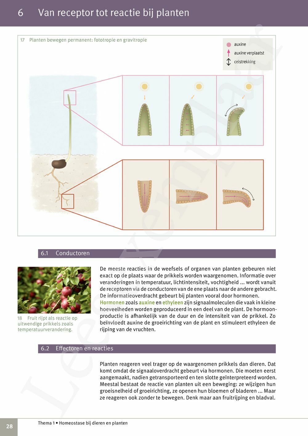 Preview: Focus Natuurwetenschappen Concreet 3 Leerwerkboek (incl. Pelckmans Portaal)