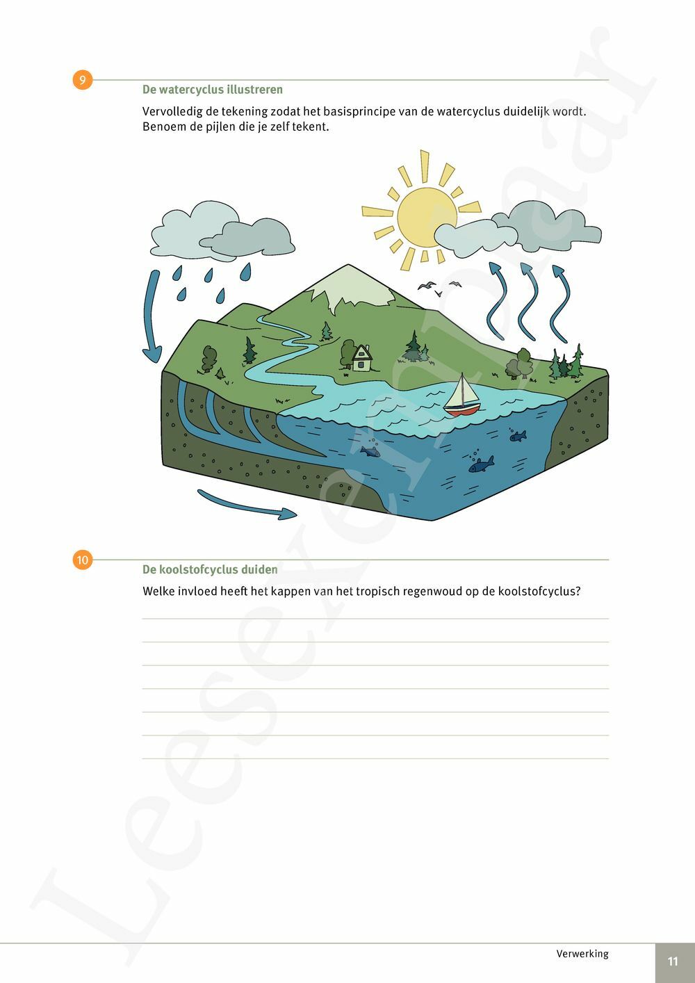 Preview: Focus Biologie 4.2 Werkboek (incl. Pelckmans Portaal)