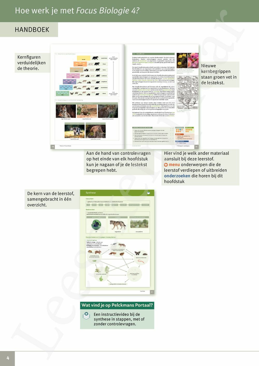 Preview: Focus Biologie 4.2 Werkboek (incl. Pelckmans Portaal)