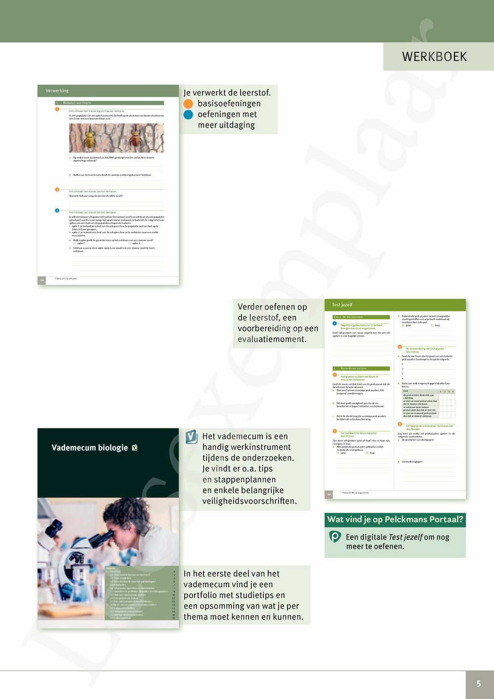 Preview: Focus Biologie 4.2 Werkboek (incl. Pelckmans Portaal)